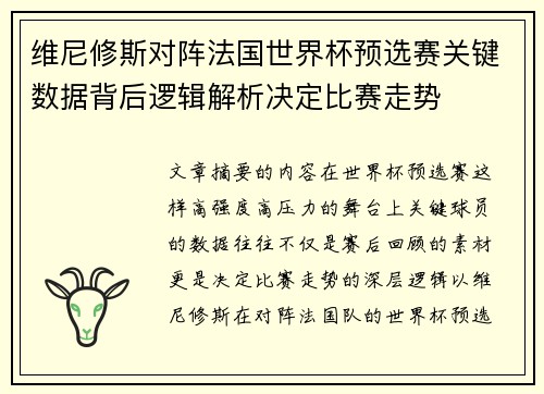 维尼修斯对阵法国世界杯预选赛关键数据背后逻辑解析决定比赛走势